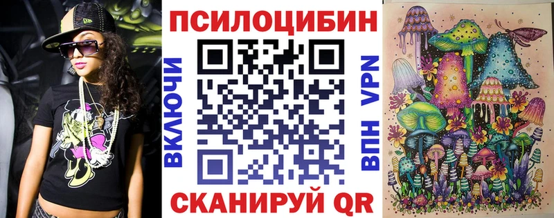 Псилоцибиновые грибы Psilocybe  Купить закладки  Красавино 